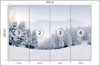 Fototapeta Zimowy Las - obrazek 3