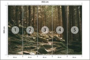 Fototapeta Las Drzewa Kamienie - obrazek 3