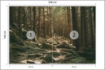 Fototapeta Las Drzewa Kamienie - obrazek 3