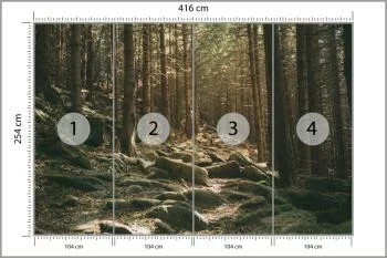 Fototapeta Las Drzewa Kamienie - obrazek 3