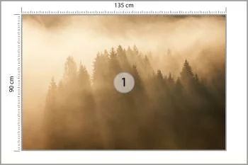 Fototapeta Las We Mgle - obrazek 3