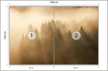 Fototapeta Las We Mgle - obrazek 3