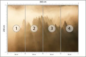 Fototapeta Las We Mgle - obrazek 3