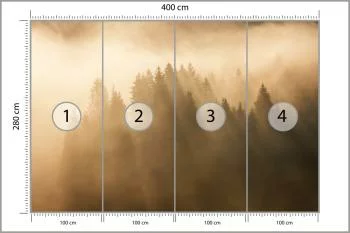 Fototapeta Las We Mgle - obrazek 3