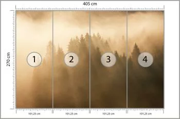 Fototapeta Las We Mgle - obrazek 3
