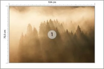 Fototapeta Las We Mgle - obrazek 3