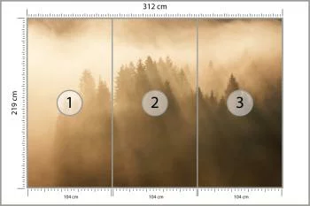 Fototapeta Las We Mgle - obrazek 3