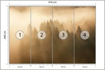 Fototapeta Las We Mgle - obrazek 3