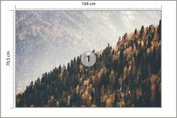 Fototapeta Las Góry - obrazek 3