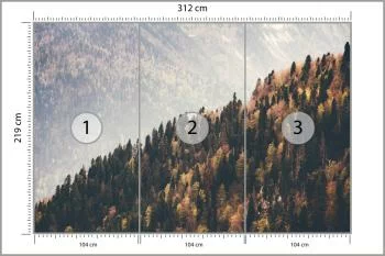 Fototapeta Las Góry - obrazek 3