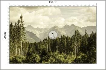 Fototapeta Las Góry - obrazek 3