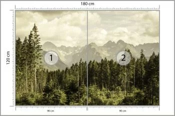 Fototapeta Las Góry - obrazek 3