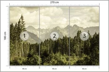 Fototapeta Las Góry - obrazek 3
