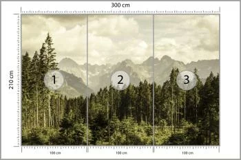 Fototapeta Las Góry - obrazek 3