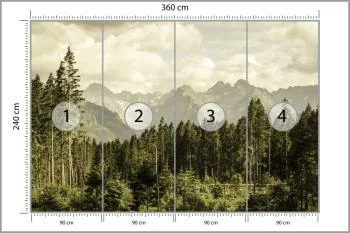 Fototapeta Las Góry - obrazek 3