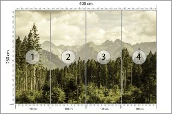Fototapeta Las Góry - obrazek 3