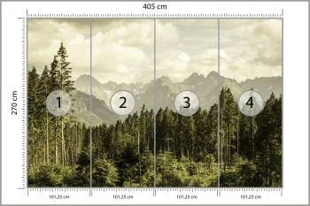 Fototapeta Las Góry - obrazek 3