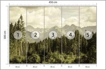 Fototapeta Las Góry - obrazek 3