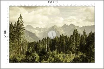 Fototapeta Las Góry - obrazek 3