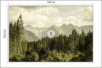 Fototapeta Las Góry - obrazek 3