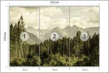 Fototapeta Las Góry - obrazek 3