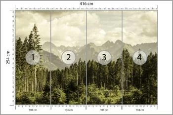 Fototapeta Las Góry - obrazek 3