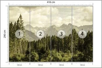Fototapeta Las Góry - obrazek 3