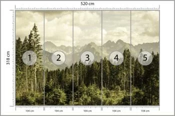 Fototapeta Las Góry - obrazek 3