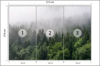 Fototapeta Drzewa We Mgle - obrazek 3