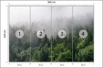 Fototapeta Drzewa We Mgle - obrazek 3