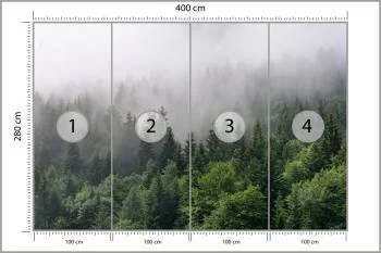 Fototapeta Drzewa We Mgle - obrazek 3