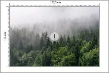 Fototapeta Drzewa We Mgle - obrazek 3