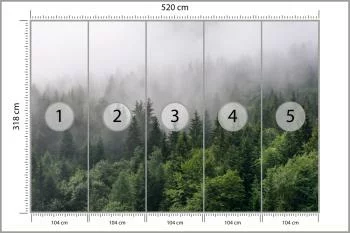 Fototapeta Drzewa We Mgle - obrazek 3