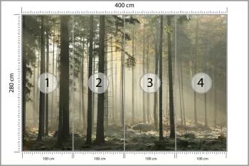 Fototapeta Las Drzewa Mgła - obrazek 3