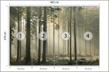 Fototapeta Las Drzewa Mgła - obrazek 3