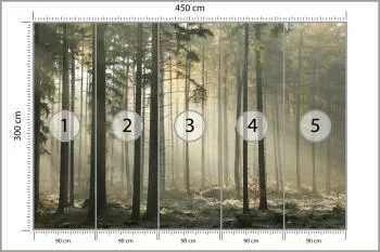 Fototapeta Las Drzewa Mgła - obrazek 3