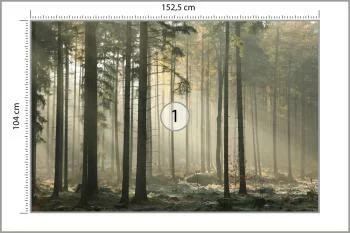 Fototapeta Las Drzewa Mgła - obrazek 3