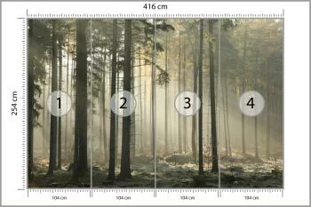 Fototapeta Las Drzewa Mgła - obrazek 3