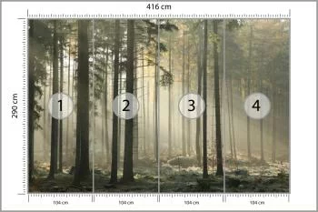 Fototapeta Las Drzewa Mgła - obrazek 3