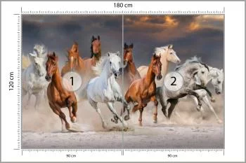 Fototapeta Stado Galopujących Koni - obrazek 3