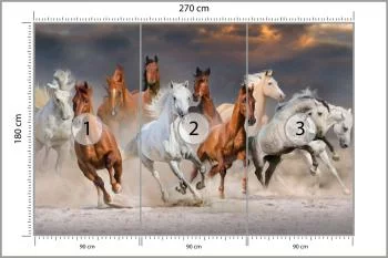 Fototapeta Stado Galopujących Koni - obrazek 3