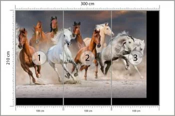 Fototapeta Stado Galopujących Koni - obrazek 3