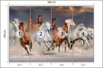 Fototapeta Stado Galopujących Koni - obrazek 3