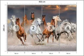 Fototapeta Stado Galopujących Koni - obrazek 3