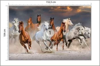 Fototapeta Stado Galopujących Koni - obrazek 3