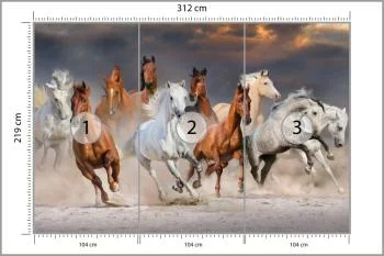 Fototapeta Stado Galopujących Koni - obrazek 3