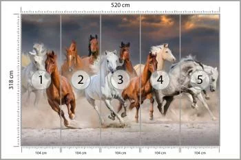 Fototapeta Stado Galopujących Koni - obrazek 3
