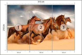 Fototapeta Konie Biegnące Po Pustyni - obrazek 3