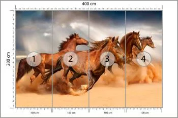 Fototapeta Konie Biegnące Po Pustyni - obrazek 3