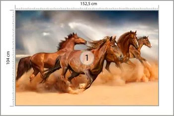 Fototapeta Konie Biegnące Po Pustyni - obrazek 3